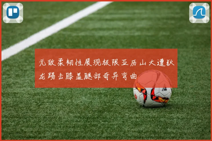 无敌柔韧性展现极限亚历山大遭狄龙踢击膝盖腿部奇异弯曲